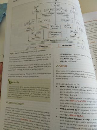 Manual CTO de medicina y cirugía Neumología y c...