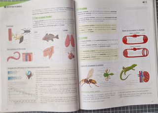 Biology and Geology 1. Student's Book