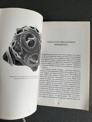 HISTORIA DE LAS BACTERIAS PATÓGENAS  MICROBIOLOGIA
