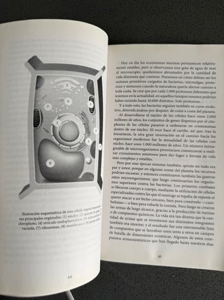 HISTORIA DE LAS BACTERIAS PATÓGENAS  MICROBIOLOGIA