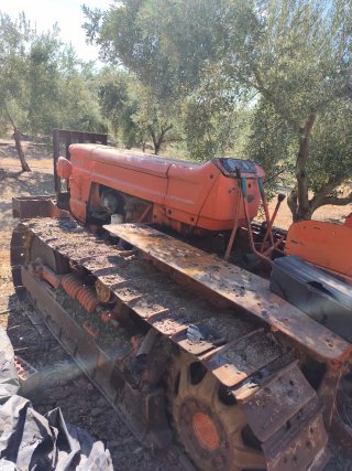 Tractor cadenas Fiat 805C