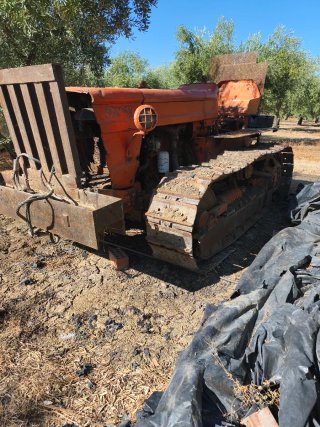 Tractor cadenas Fiat 805C