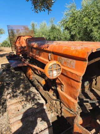 Tractor cadenas Fiat 805C