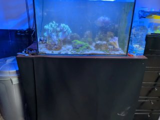 Acuario Marino Completo