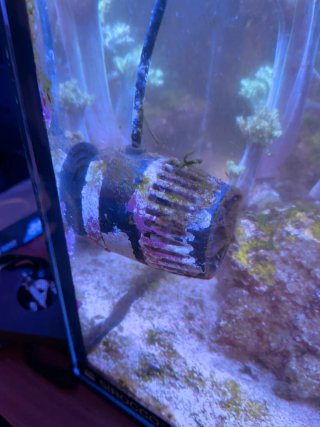 Acuario Marino Completo