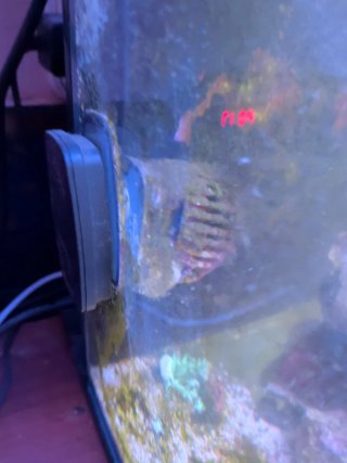 Acuario Marino Completo