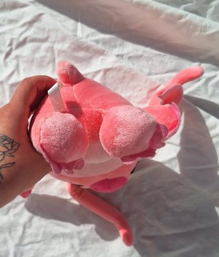Peluche Angel con ventosa