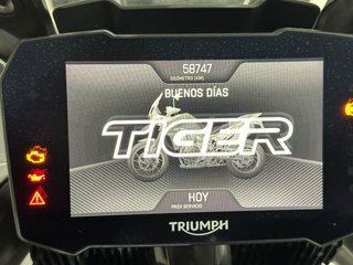 Triumph Tiger 900 GT Pro