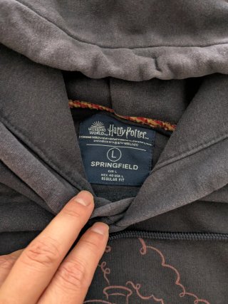 Sudadera Hogwarts Express Negra y Dorada