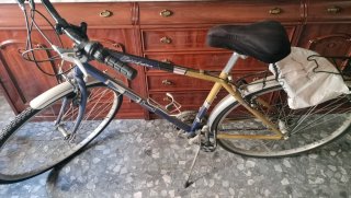 Bicicleta de paseo azul y dorada