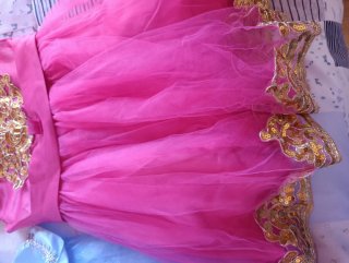 Disfraz Princesa Azul y Rosa