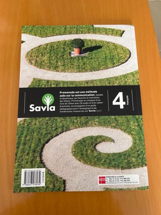 Promenade, français A2-B1, 4 Secundaria Livre d...