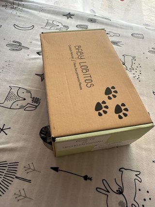 Zapatillas Bebé Lobitos Talla 25
