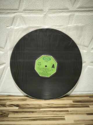 Vinilo Victor y Diego Folk