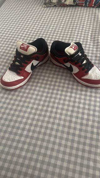 Nike Dunk SB Red White Zapatillas