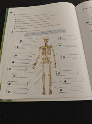 Natural Science, 5 Primary, Outside the Box, By...
