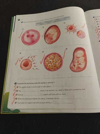 Natural Science, 5 Primary, Outside the Box, By...