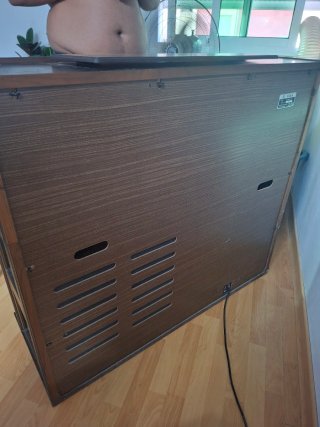 Órgano electrónico Elka