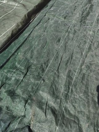 Manta cubre piscina de invierno Desjoyaux verde