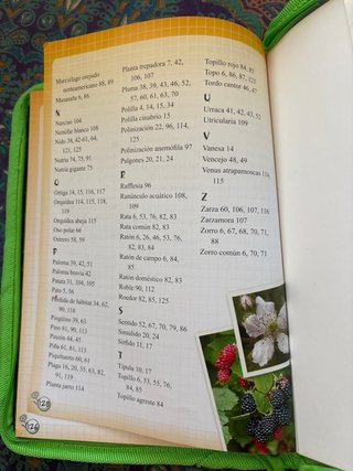 Guía de campo