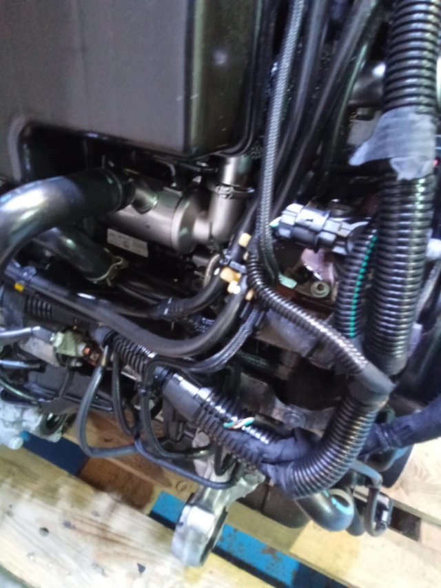 Motor PSA 1.6 HDI 16V 110CV 9HY Completo