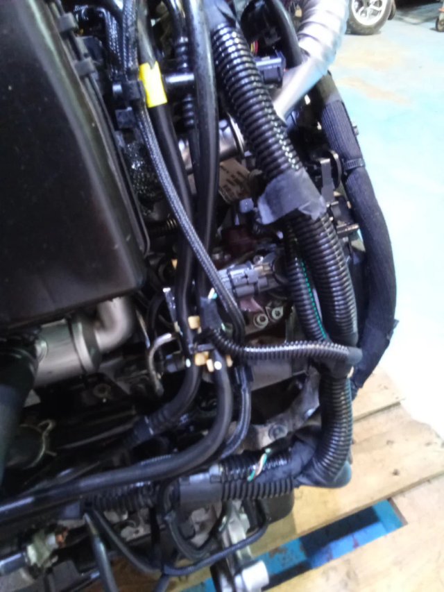 Motor PSA 1.6 HDI 16V 110CV 9HY Completo