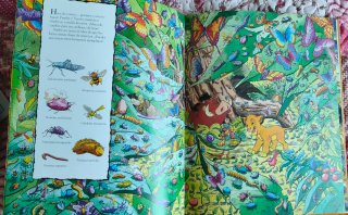 Libro infantil "¿Dónde está? El Rey León"