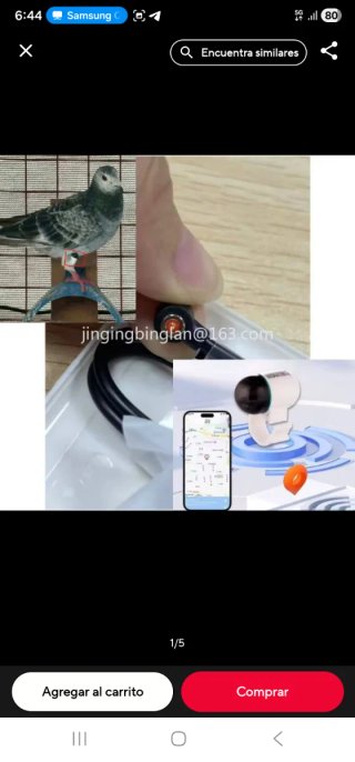 4 Localizadores GPS para palomas y aves