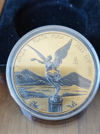 Libertad 2022 Space Gold 1 Onza Plata Pura