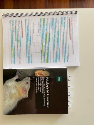 Psicología UNED Psicología del aprendizaje