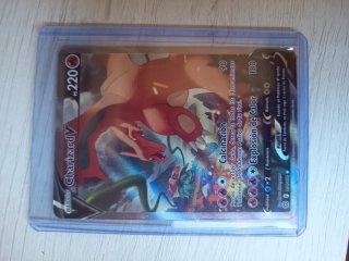 Lote Cartas Pokémon VMAX, V