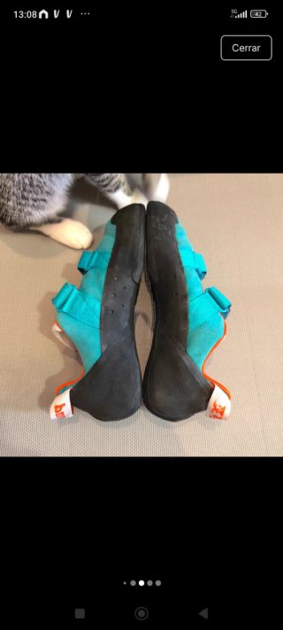 Pies de gato simond Gato 38