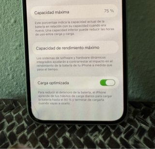 iPhone 12 Verde
