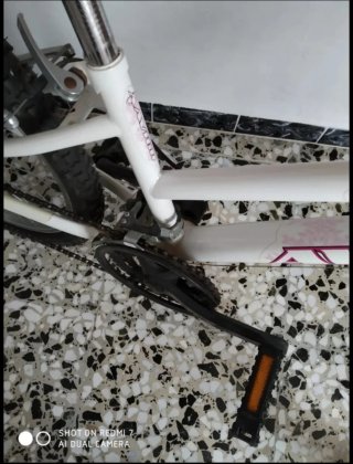 Bicicleta montaña con amortiguadores delanteros