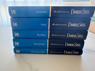 Lote Danielle Steel