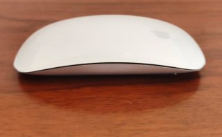 Apple magic mouse