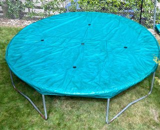 Cama elástica BERG 330