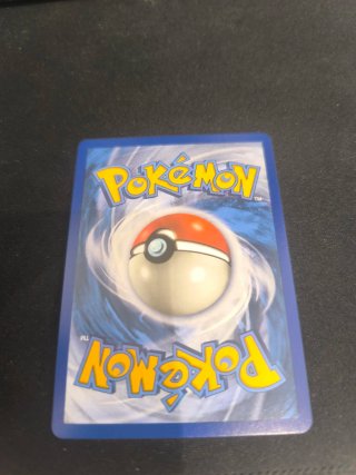Magikarp y Wailord GX Español