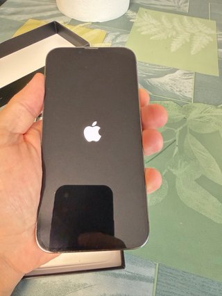 iPhone 13 Pro Max 1TB Gris