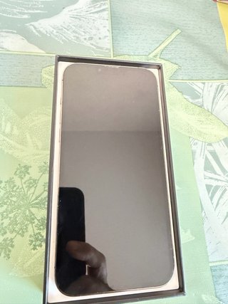 iPhone 13 Pro Max 1TB Gris