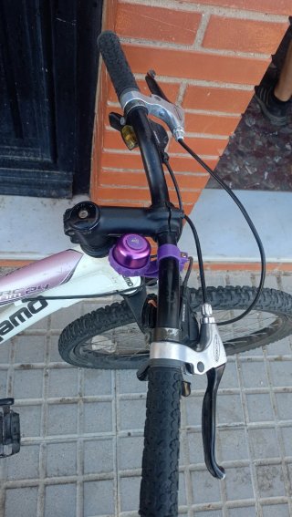 Bicicleta Megamo 24 pulgadas