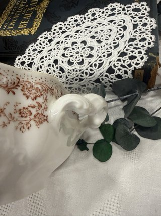Legumbrera Antigua Haviland Limoges Porcelana