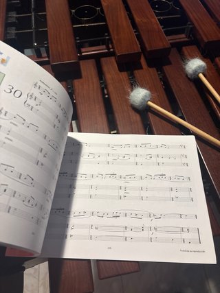 Libro Lenguaje Musical Profesional II