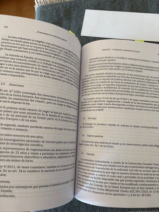 El extranjero en el Derecho español