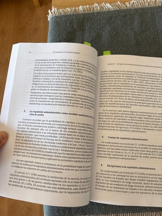 El extranjero en el Derecho español