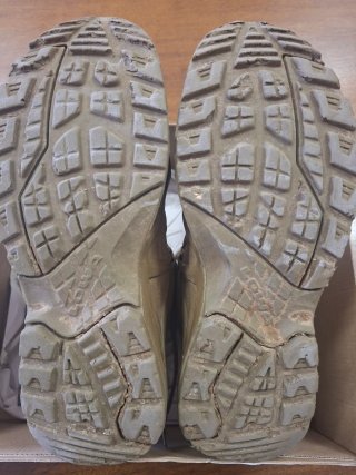 Lowa Zephyr GTX Mid TF Gore-Tex 44,5 Coyote