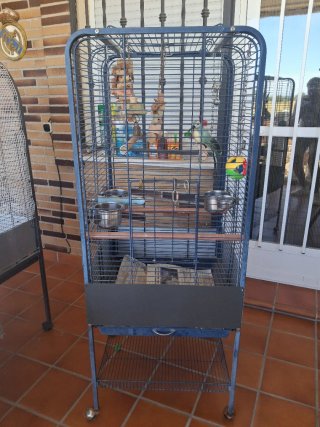 Jaula para Loro en buen estado