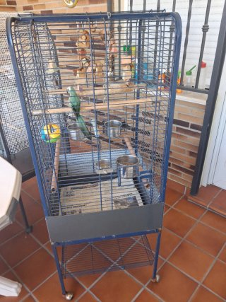 Jaula para Loro en buen estado