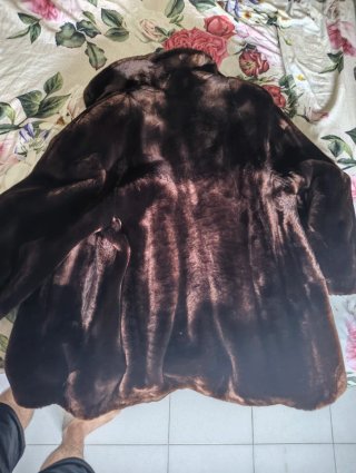 Pelliccia Castorino