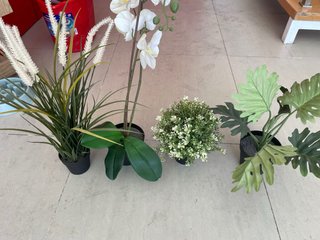 Plantas artificiales decorativas